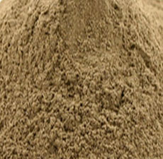 ECHINECEA ANGUSTIFOLIA ROOT POWDER
